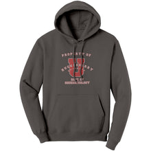 Outlaw Window Cleaner "Huckleberry University" Hoodie