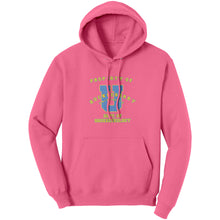 Outlaw Window Cleaner "Huckleberry University" Hoodie