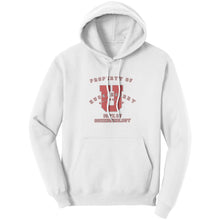 Outlaw Window Cleaner "Huckleberry University" Hoodie