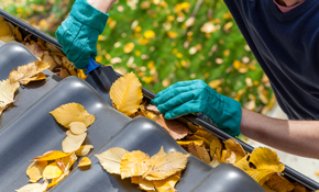 Gutter Cleaning For Up To A 2000 Sq. Ft. Home