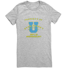 Outlaw Window Cleaner "Huckleberry University" Ladies T-shirt