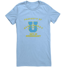 Outlaw Window Cleaner "Huckleberry University" Ladies T-shirt