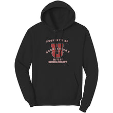 Outlaw Window Cleaner "Huckleberry University" Hoodie