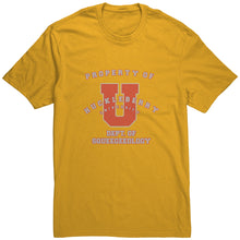 Outlaw Window Cleaner "Huckleberry University" T-shirt