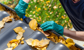 Gutter Cleaning For Up To 3500 Sq. Ft. Home